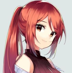 Meet your Posher, Mina